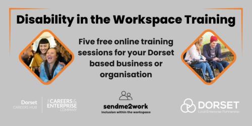 Disability in the Workspace Training